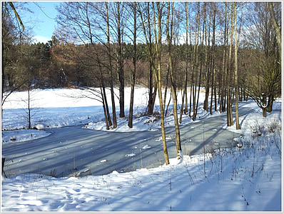 зимни, сняг, пейзаж, germering, природата, дърво, студено - температура