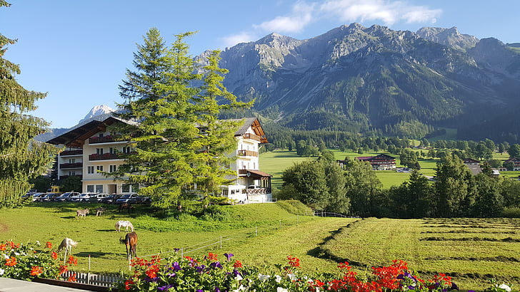 Dachstein, hory, Alpy, Příroda, dům, ubytování, Penzion