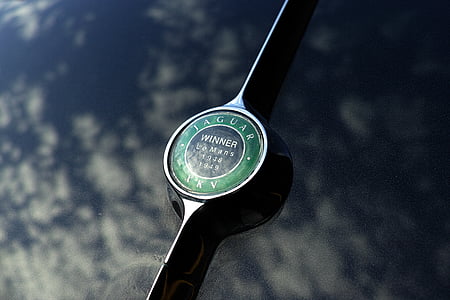 autó, logó, elmélkedés, Jaguar, zöld, fekete, termék-fotó