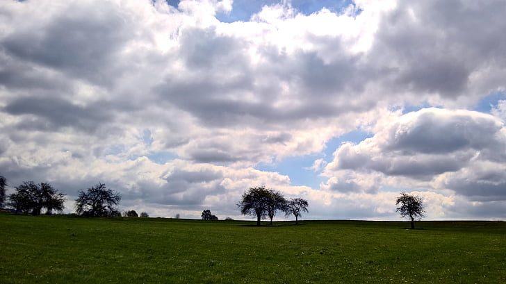 field, sky, clouds, trees, landscape, grass, agriculture
