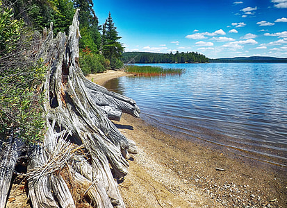 Algonquin, rivage, Lac, nature, l’Ontario, paysage, nature sauvage