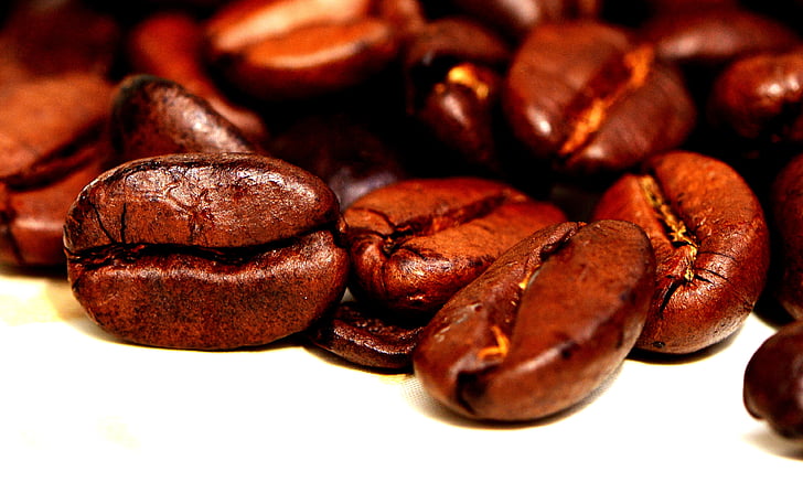 café, grãos de café, café, assado, cafeína, marrom, aroma