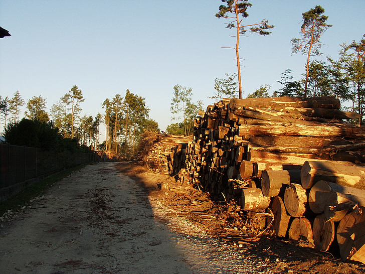 puit, puutüvedel, mis asub, Saematerjal, puidu, holzstapel, loodus