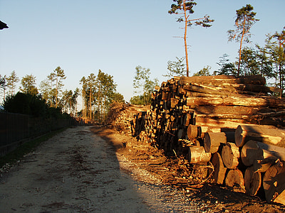hout, boomstammen, liegen, timmerhout, hout, holzstapel, natuur
