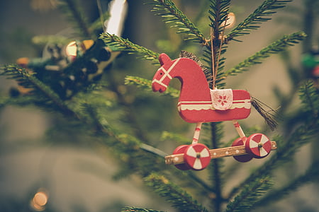 kabur, cabang, Perayaan, Natal, dekorasi Natal, pohon Natal, warna