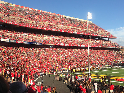 college football, football, crowds, cheering, support, college, game