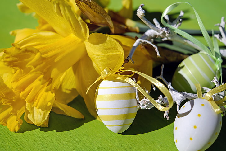 tema de Pasqua, Setmana Santa, ous de Pasqua, pintat, plàstic, narcisos, decoracions de Pasqua