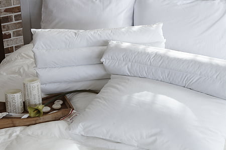 pagalvė, miegamasis, laumžirgis, antklodė, balta spalva, uždarose patalpose, namų interjeras