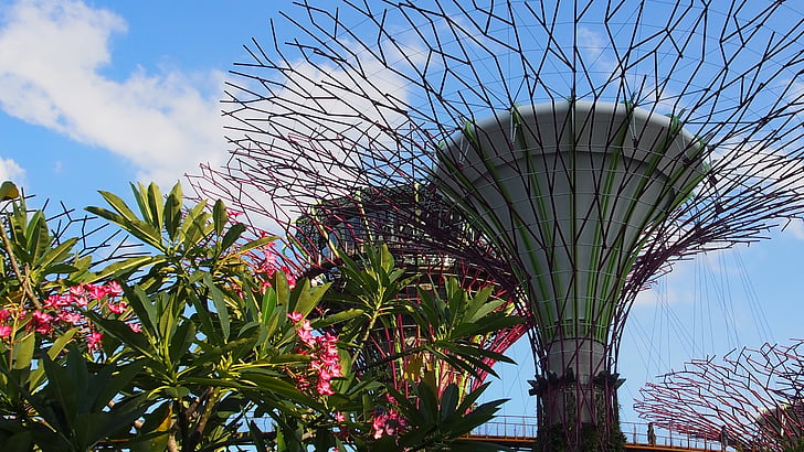 Singapūra, Marina bay, Botāniskajam dārzam