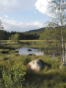 sziget, Svédország, tó, Värmland