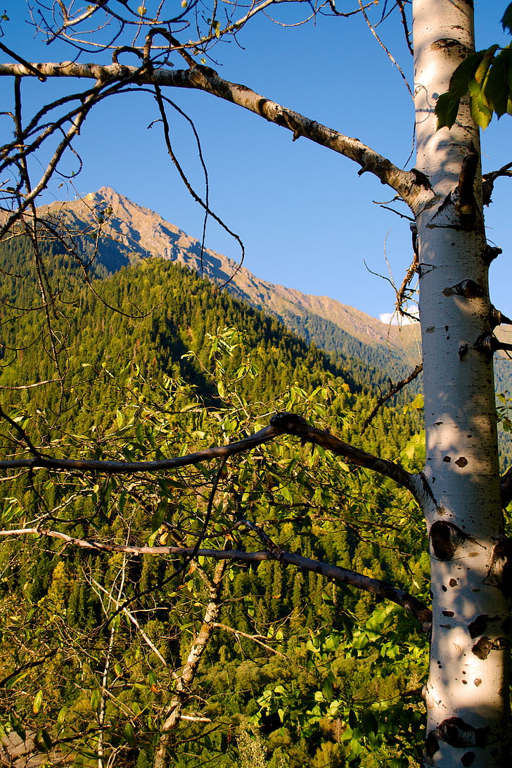 montagnes, Sky, nature