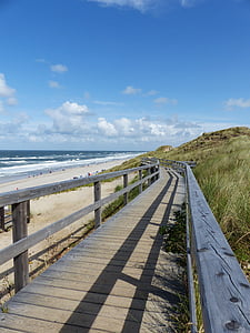 Boardwalk, more, pobrežie, modrá, Beach, Sylt, letné