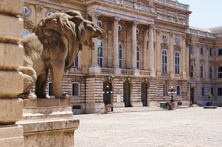 hungarian national gallery, budapest, courtyard, sculpture, lion, input, hungary