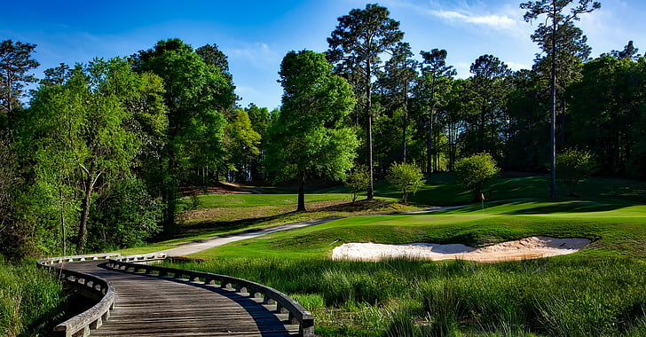 Magnolia golf course, Mobile, Alabama, Golf, sand trap, Sport, fritid