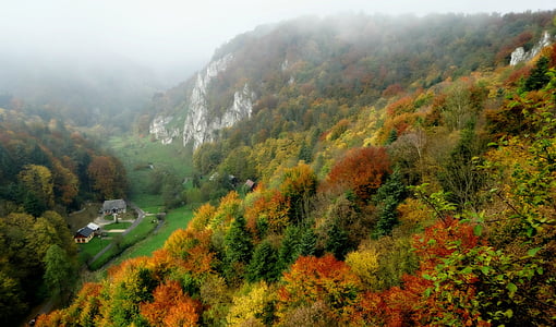 i padri fondatori, il Parco nazionale, natura, paesaggio, fogliame, autunno, la nebbia