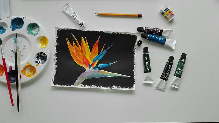 painting, watercolor, brush, flower, papagájvirág, multi colored, indoors