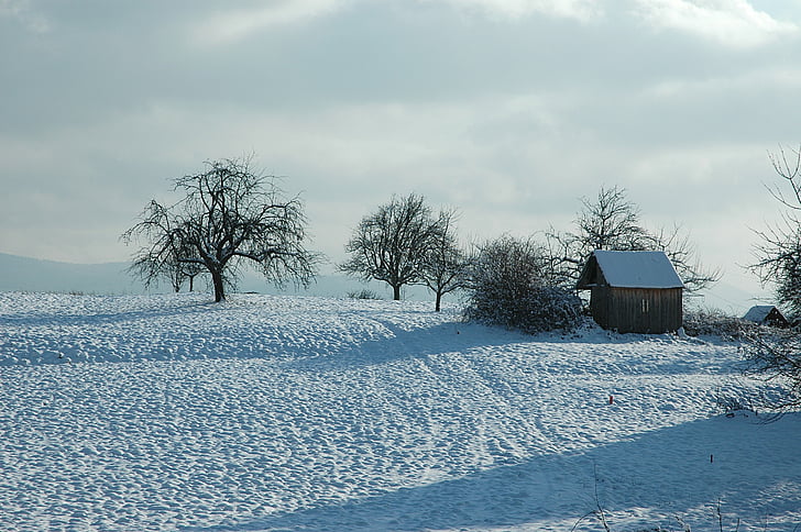 Inverno, floresta negra, Ortenaukreis, neve, invernal, frio, paisagem