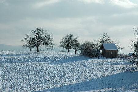зимни, Черна гора, Ortenau, сняг, зимни, студено, пейзаж