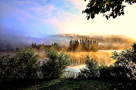 mist, lake, colors, nature, trees, green, calm