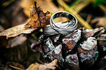 wedding, rings, autumn, love