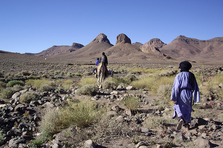 알제리, 사막, 사하라, hoggar, -레지스트리, tuareg
