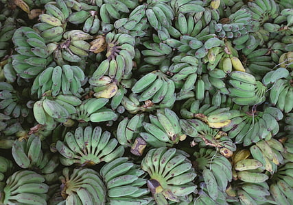 plantains, bananas, fruits, food, healthy, fruit, freshness