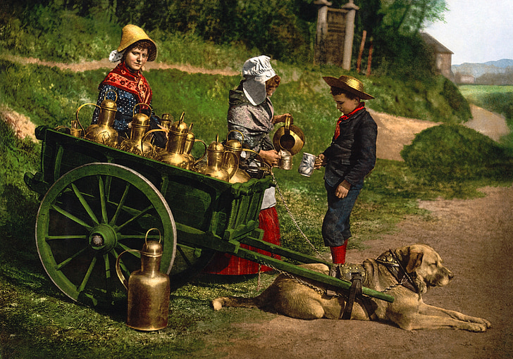 mleko, koszyk, photochrom, 1890, pies, handlarz
