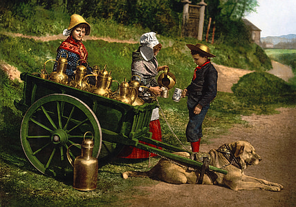 lapte, Cosul de cumparaturi, photochrom, 1890, câine, negustor ambulant