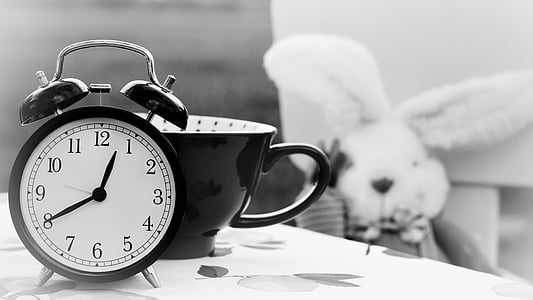 알람, 알람 시계, 흑백, 토끼, 시계, 컵, 시간