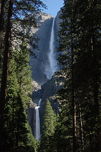 Yosemite, Cachoeiras, floresta, Parque, natureza, Parque Nacional de Yosemite, scenics