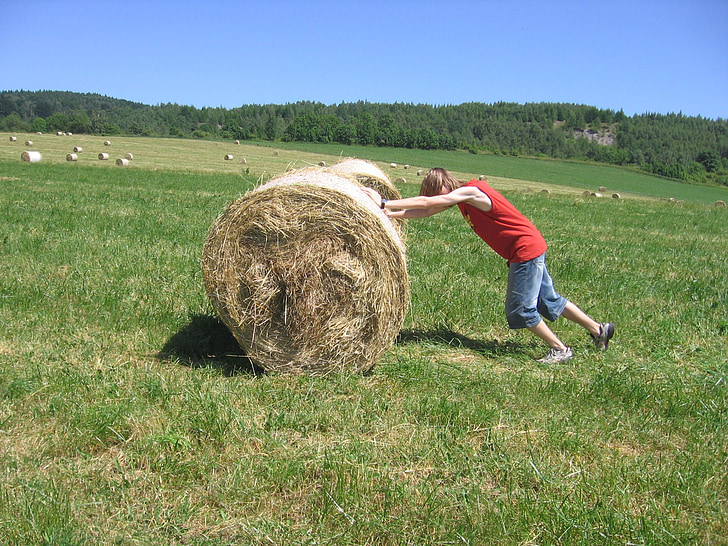 padang rumput, Hay, Anak laki-laki, Bermain, menyenangkan, mendorong, jerami bale