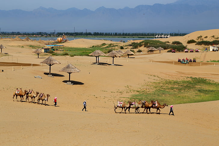 visita, arena de mar, el paisaje, el borde del desierto