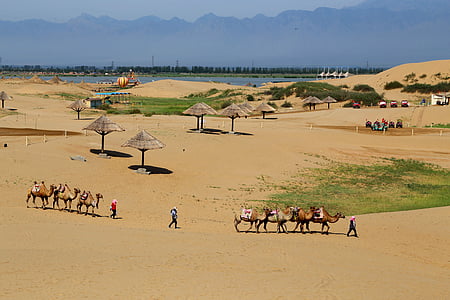 visit, sand sea, the scenery, the edge of the desert