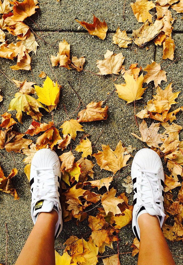 buty, Nowy, stopy, jesień, ziemi, Adidas, biały