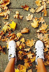 giày dép, mới, bàn chân, mùa thu, mặt đất, Adidas, trắng