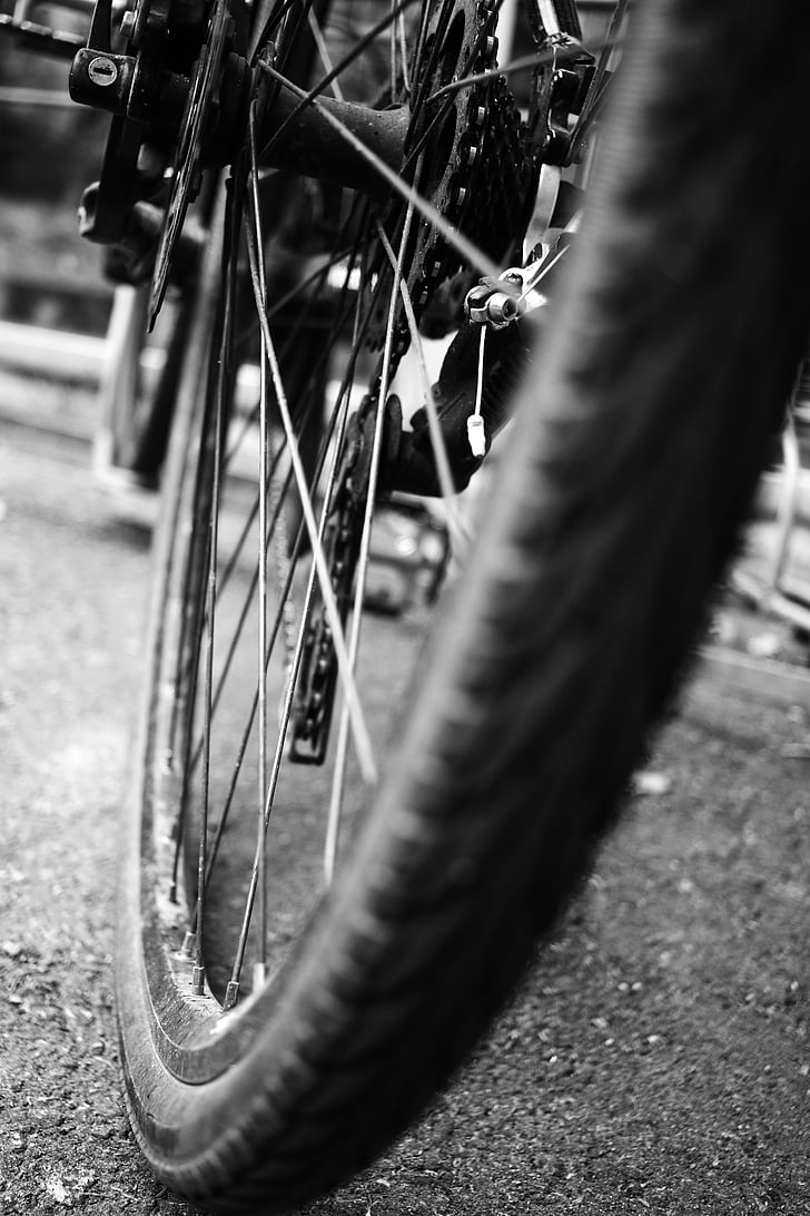 cyclus, wiel, fiets, fiets