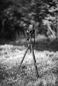 kamera, Mamiya, állvány, fotózás, Fénykép, a mező, közepes formátumú
