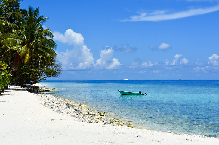 Atollo di Baa, Dharavandhoo, Maldive, spiaggia, palme, barca, mare