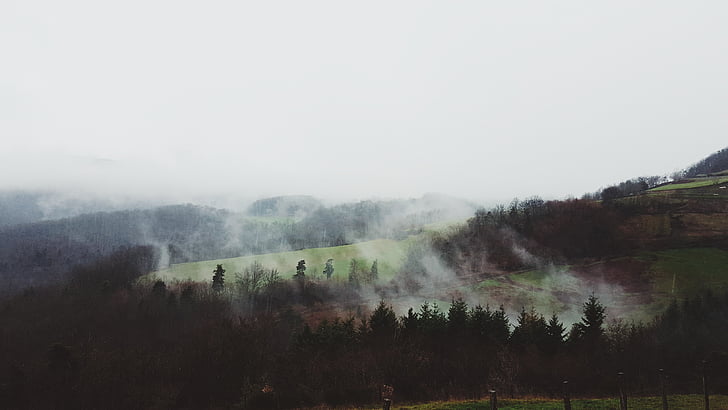 nature, landscape, green, mountain, fog, trees, aerial
