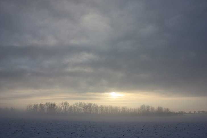 winter, snow, nature, snow background, winter landscape, tree, landscape