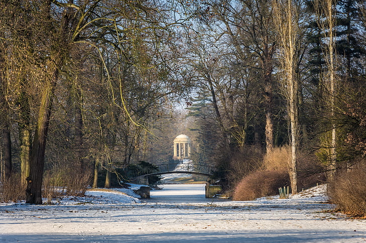 Zimní, parku, Park wörlitz, chlad, sníh, stromy, krajina
