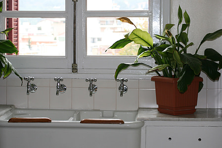 lavello della cucina, gru, bianco, metallo, verde, pianta da vaso, marrone