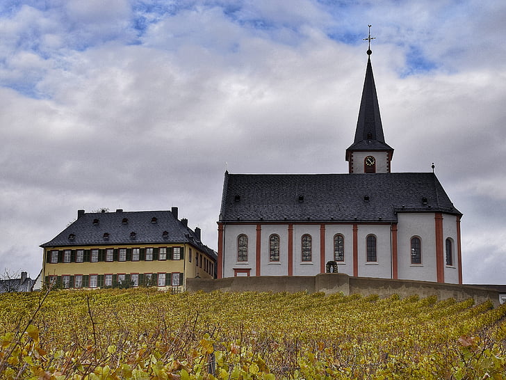 Hochheim, glavni, Hesse, Nemčija, regiji Rheingau, vino, jeseni