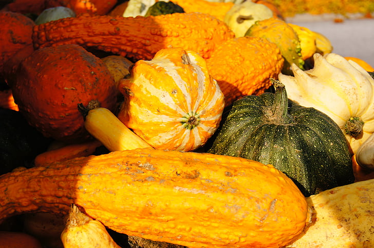 kurpitsa, Syksy, Halloween, vihannekset, Harvest