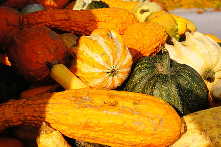 Dynia, jesień, Halloween, warzywa, żniwa