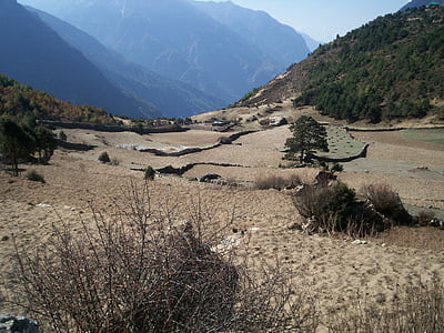 トレッキング, ネパール, ヒマラヤ, 山, 旅行