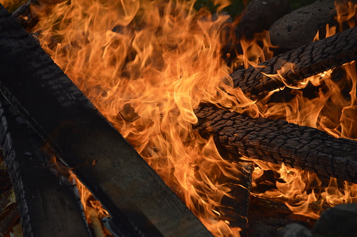 oheň, vypálit, plamen, teplo, dřevo požár, ohniště, hořák