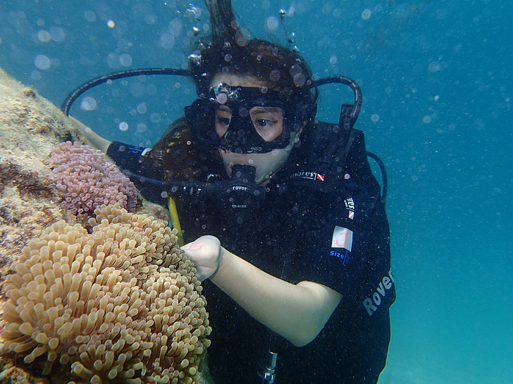 oxygen cylinder, syd-øst Asien, Malaysia, Marine, dykning, havet, Coral