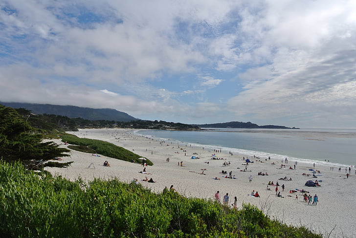 carmel, california, beach, pacific, usa, sea, coastline