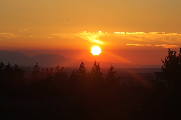 posta de sol, Issaquah, nord-oest, cel, natura, taronja, Washington